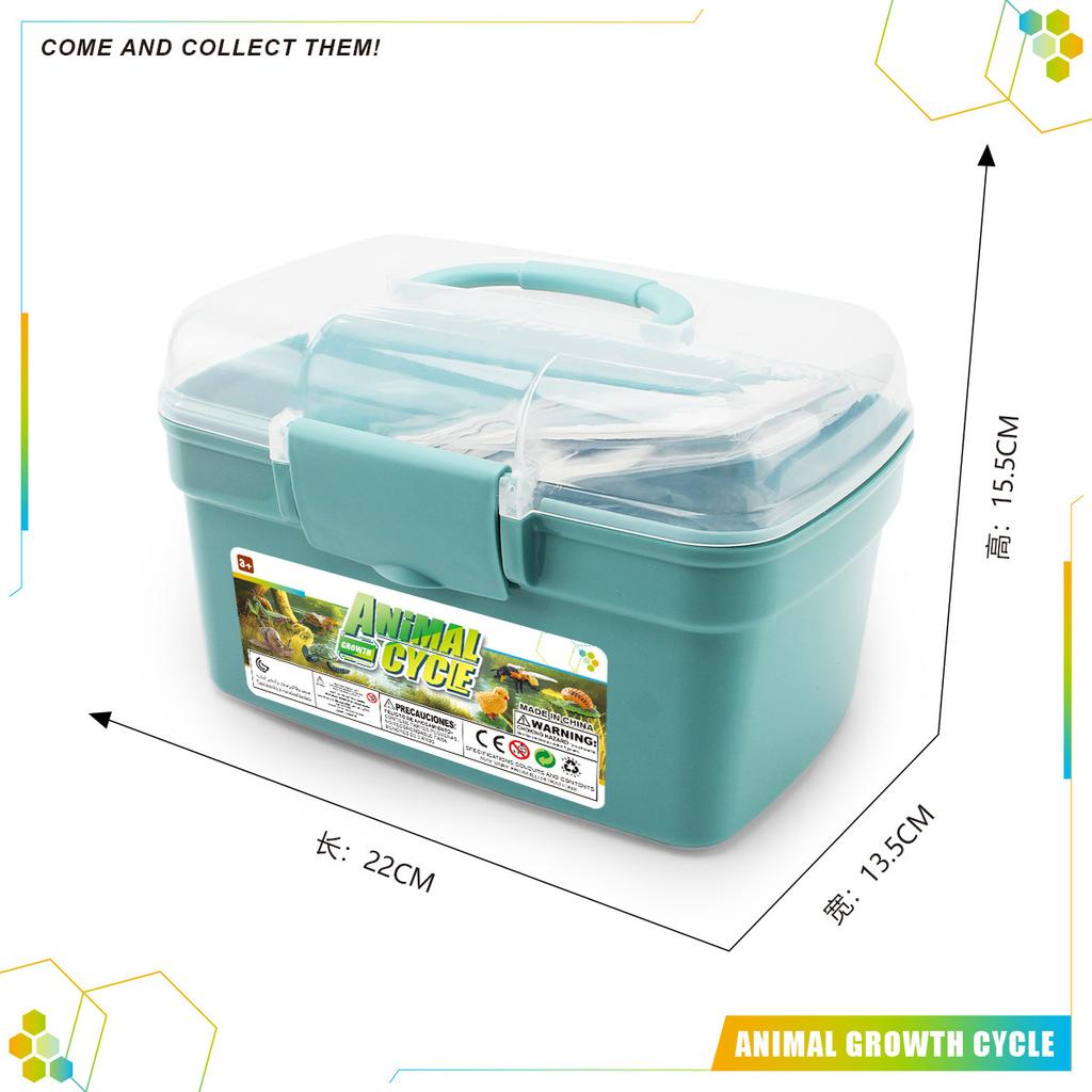 Simulation Of Animals And Plants Insects 6 Themes Butterfly Bee Frog Model Growth Cycle Storage Box Set