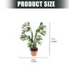 Mini Plastic White Variegated Monstera Leaf Decoration For Dollhouses Accessories And Toy Furniture