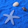 Luminous Starfish Resin Jewelry Accessories - DIY Handmade Materials