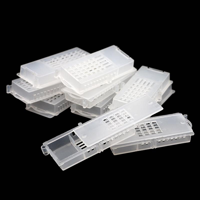 100Pcs Queen Bee Transport Cages Bee Queen Rearing Cage Cell Plastic Post Transmit Move Mail New King Transparent Yellow/White
