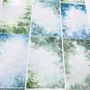 Washi Pet Tape Journal P47 Lanlian 9999 Water Ripple Leaf Lake Ancient Chinese Scrapbooking Landscape Sticker Loop Sample