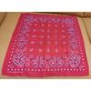 Used Number (N)ine Bandana Paisley Pattern Red