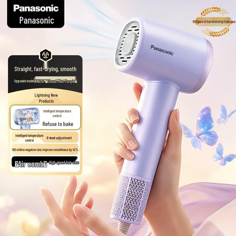 Panasonic WNE6M High-Speed Hair Dryer
