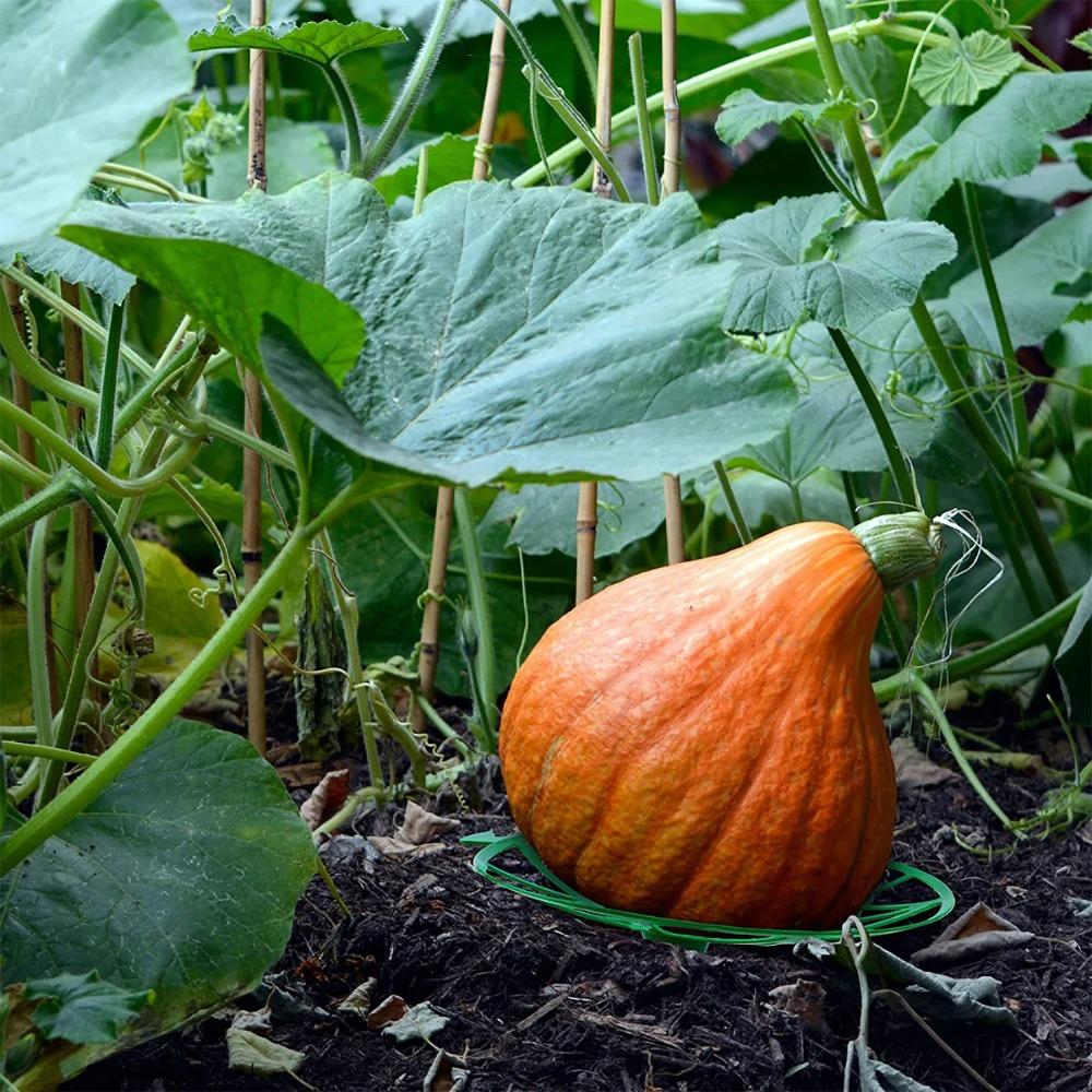 1pc Anti-Rotting Watermelon Stand Gardening Stand Vegetables Gardening Stand  Pumpkin Watermelon
