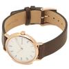 Skagen Women's Watch, Brown, SKW2760 [Parallel Import]