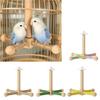 Funny Perches Toy with Rotating Ball Wooden Parrots Ferris Wheel Toy with Perches Windmills Toy For Parakeets Cockatoos