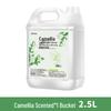 ShengJieKang Camellia Scent Hand Soap 2.5L