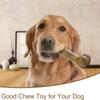 Natural Non-Toxic Dog Bone Chew Toy Nearly Indestructible Anti-Bite Puppy Chew Toy for Small Medium Large Dogs Pet Chew Toy