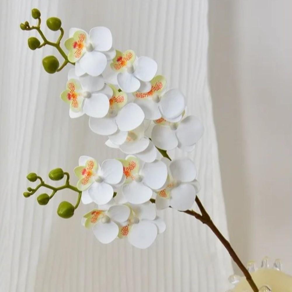 12 Heads Artificial Phalaenopsis Flower Moth Orchid Single Branch Simulation Butterfly Orchid Flower Arrangement DIY