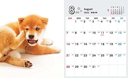 Shiba Inu Weather Mini (Impress Calendar 2022)