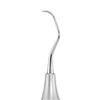 GDC Sickle Scalers Posterior #6 (Sn135)