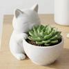 Garden Decor Cat-Shaped Planter Pot Ornaments Cacti Plant Pot Cute Succulents Pot  Desk