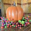 Twinkle Led Light Pumpkins With Timer Timer Lighted Sparkling Starry Night Glass Pumpkin For Home Bedroom Bathroom Hallway