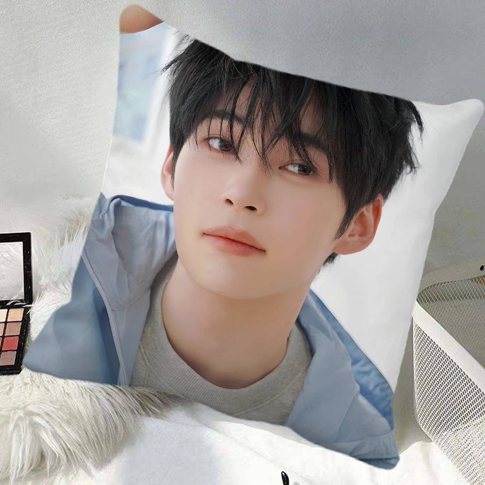 kpop Sung Han Bin Pillow Case Square Pillow Bedroom Sofa Leisure Comfort Cushion Car Home Decoration