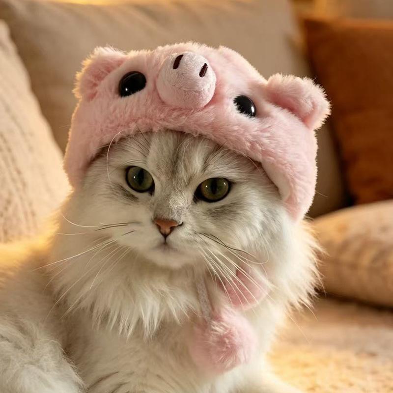 Maltese white goose hood Taiyaki cat hood pet hat small dog cute funny hat