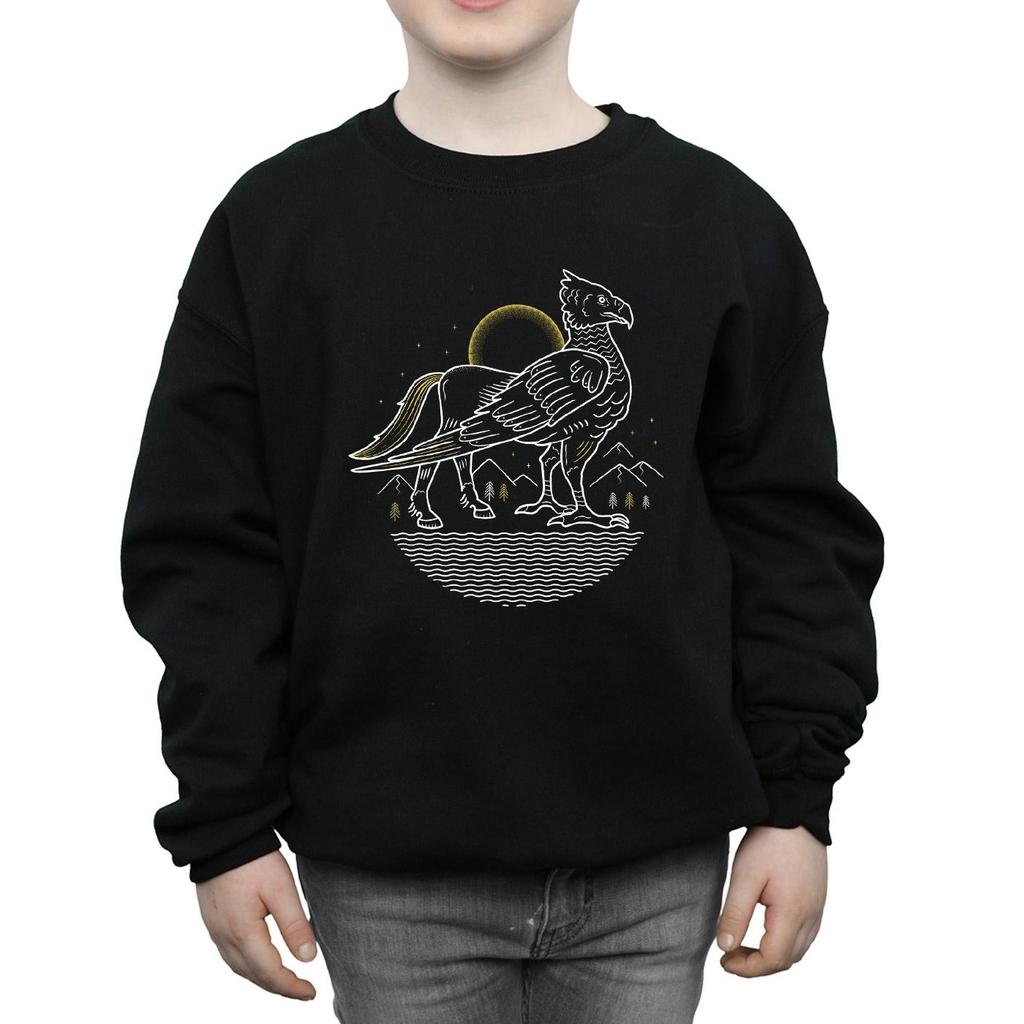 HARRY POTTER Boys Buckbeak Line Art Sweatshirt