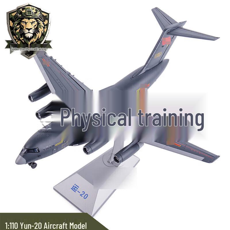 Y-20 Transport Aircraft Alloy Model