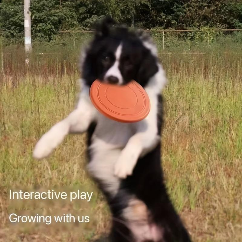 Pet Toy Dog Flying Discs for Interactive Training, Increase Bonding with Dogs, Puppy Training Plate Pet Flying Discs, Floating Water Soft Flying Discs