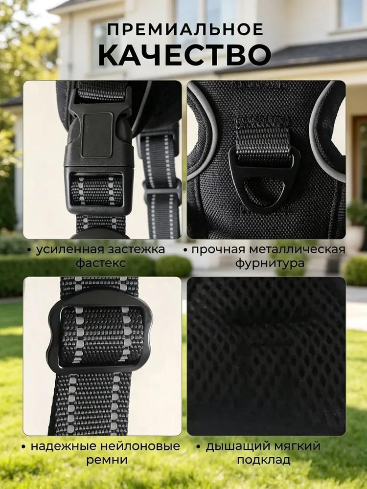 Harness