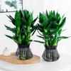 Self-watering Flowerpot with Self-absorbing Cotton Rope Creative Plastic Plant Pot Indoor