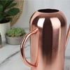 50oz / 1.5L Stainless Steel Watering Can, Metal Can with Long Convenient Handle, for