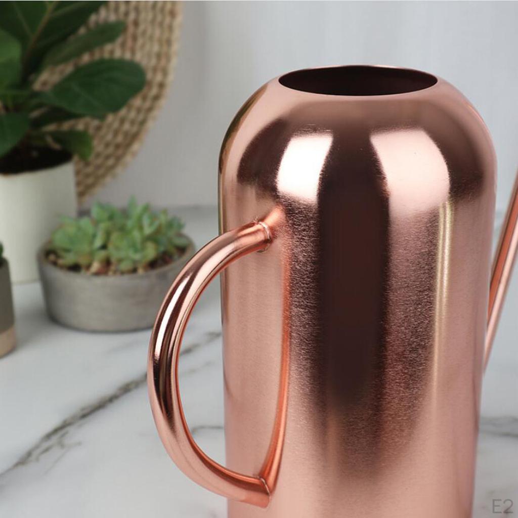 50oz / 1.5L Stainless Steel Watering Can, Metal Can with Long Convenient Handle, for