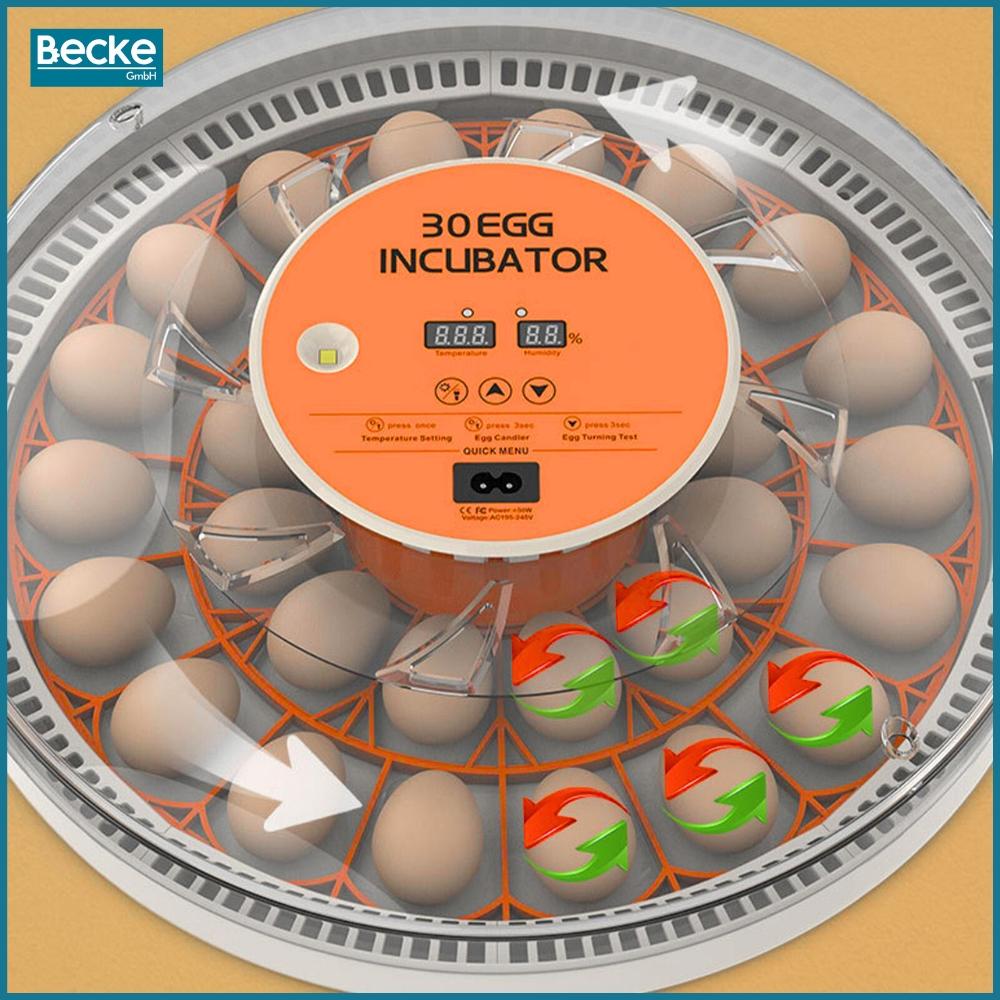Incubator, poultry hatchery, hatcher, egg turner, egg turner, 30 eggs