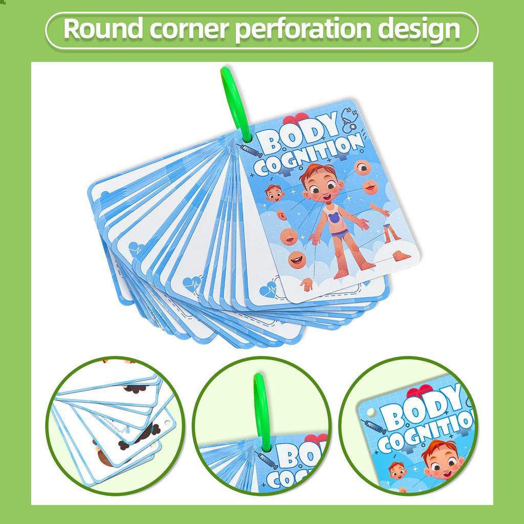 36 Body Cognitive Cards Children'S Enlightenment Education Educational Cognitive Cards Education Cards