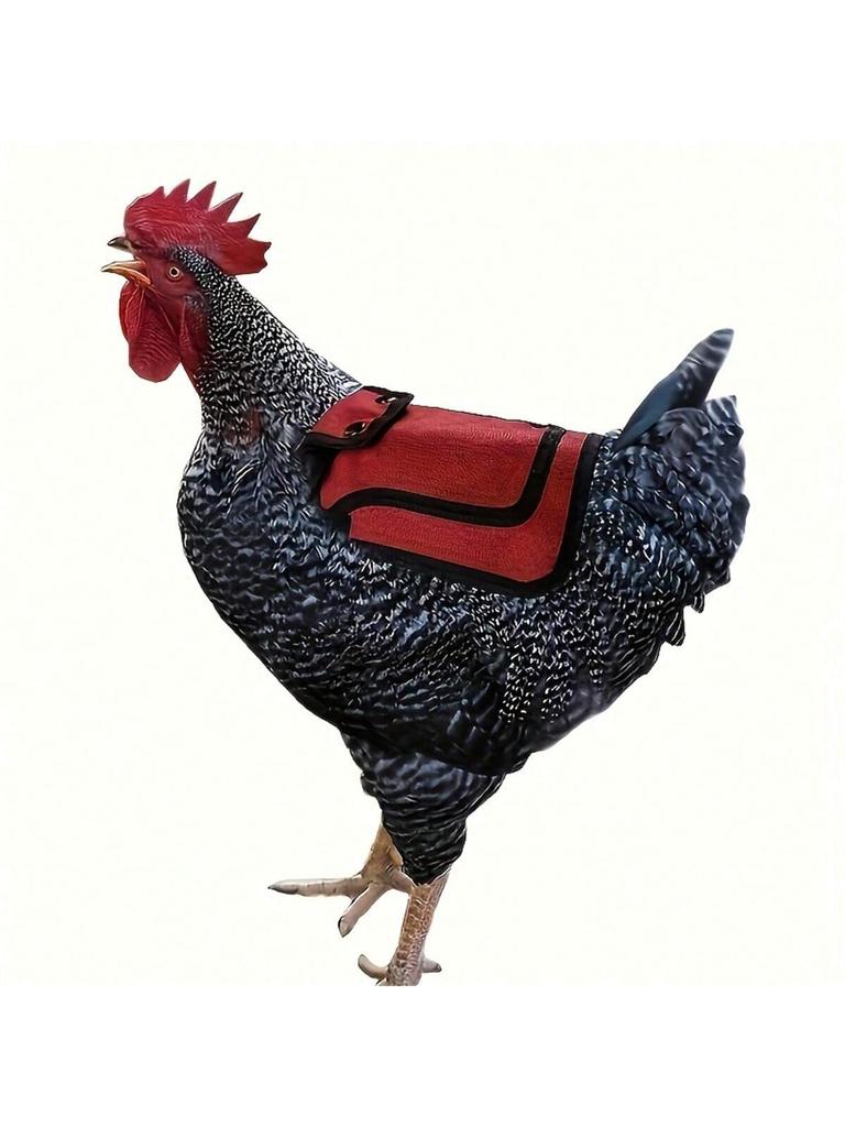 1PCS Adjustable Chicken Back Feather Wing Protector Vest Outdoor Cold Resistance Rooster Hen Chicken Saddle Back Support