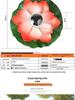Solar Lotus Floating Pond Lamp - Waterproof Garden Wishing Light