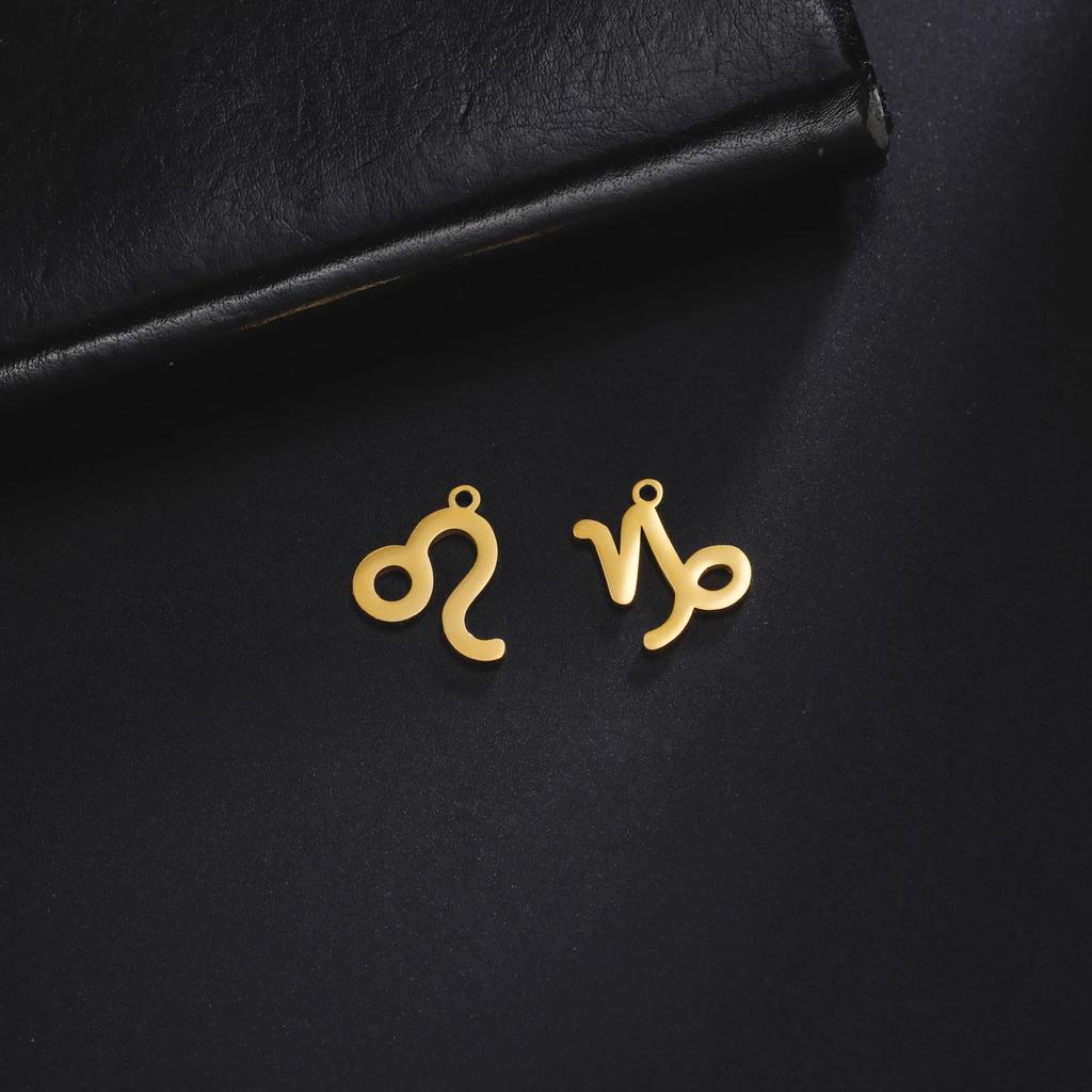 Teamer 12 Stück/Los Tierkreiszeichen Anhänger Edelstahl Horoskop Astrologisches Zeichen Anhänger für Halskette Armband Schmuckherstellung