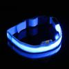 LED Dog Leash (L/Blue)
