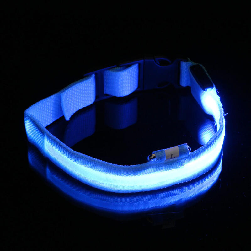 LED Dog Leash (L/Blue)