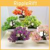 Plastic Fake Plant Bonsai With Elegant Blooming Colors For Indoor Decor