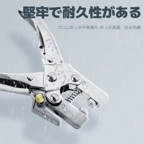 Dazzlestar 400-Piece Carbon Steel Eyelet Punch, Hole Punch, Punch Pliers, Eyelet Pliers, Hole Punching Tool for Leathercraft, Rivet Setting, DIY Craft