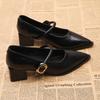 Women Mary Jane Shoes Vintage Pointed Toe Elegant Spring 2026 Ladies Outdoor Low Heel Shoes Fashion Chunky Party Dress Pumps
