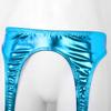 Spandex Womens Shiny Glossy Appearance Hologram Metallic Suspender Clips Stretchy Garter Belt