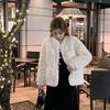 Autumn and winter new imitation lamb fur coat loose small warm short top women's fashion