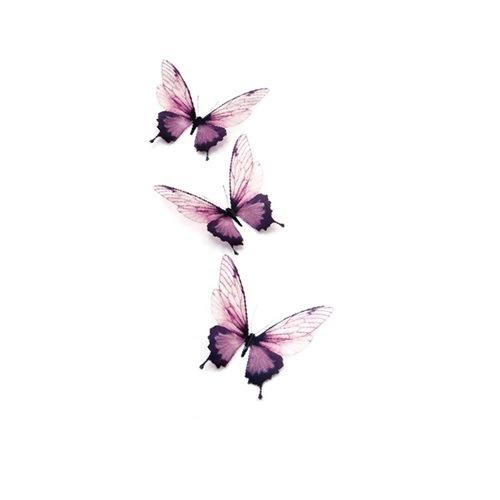 Small Fresh Tattoo Sticker Cute Swallow Fairy Fox Rose Sexy Waterproof Tattoo Sticker Female Suit Sticker