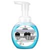Walch Health Care Antibacterial Foam Hand Soap