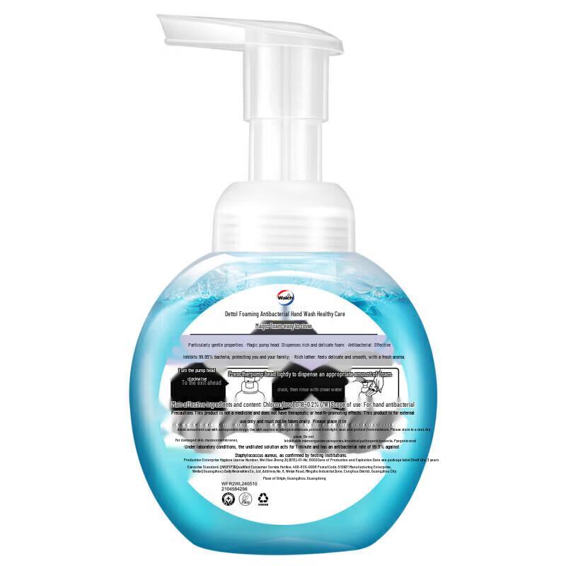 Walch Health Care Foaming Hand Wash Twin Pack