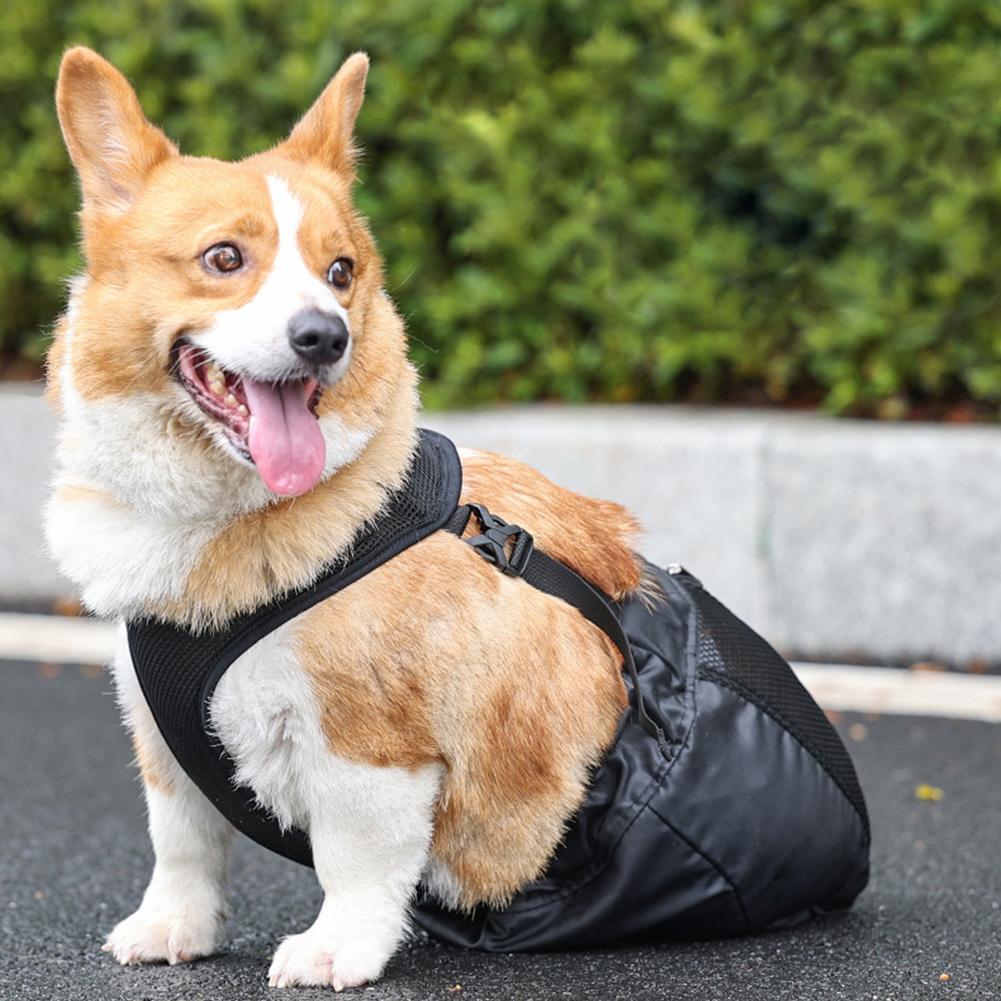 Drag Bag Dragging Bag Recovery Carrier Bag Wheelchair Adjustable Protective Back Leg Drag Bag For Pet Owners Injured Dogs