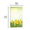 SZKLANA DESKA DO KROJENIA 30x52 Tulipany