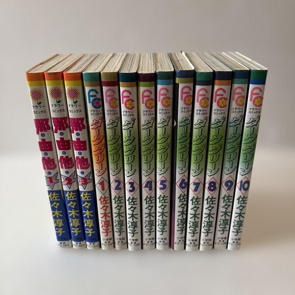 [USED] Junko Sasaki Collection