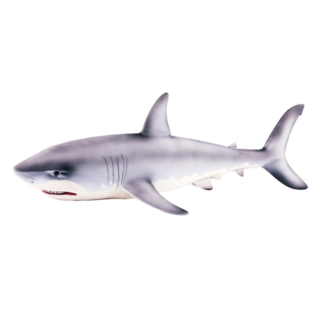 58cm Buyuk Megalodon Buyuk Beyaz Kopekbaligi Simulasyon Hayvan Figur Model Oyuncak Hediyelik Uygun Fiyatli Satin Alin Fiyat Ucretsiz Teslimat Fotograflarla Gercek Yorumlar Joom