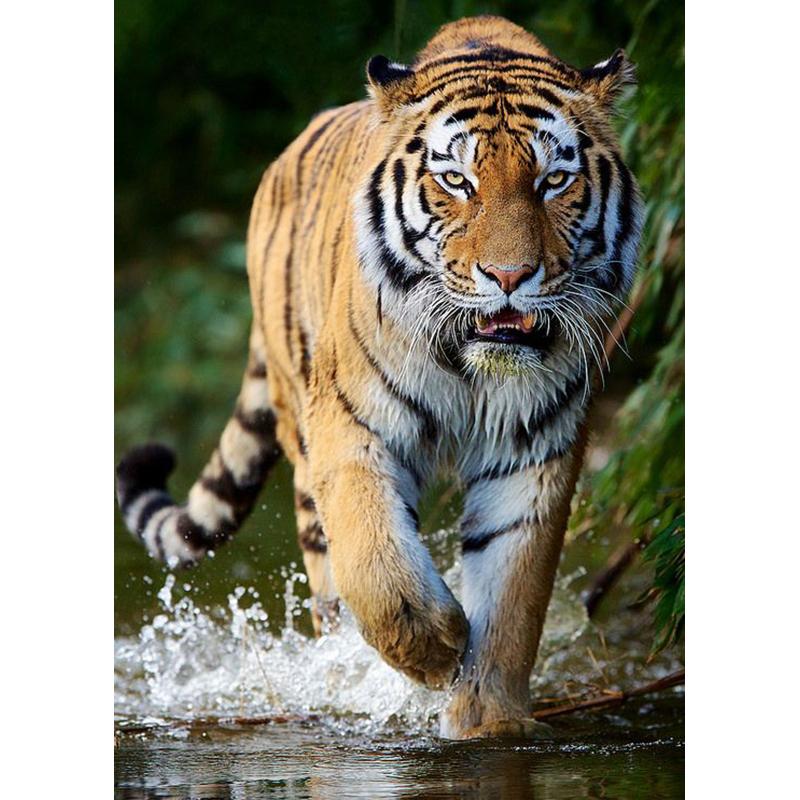 5D DIY-diamantmaleri helrundt bor Dyr tiger korssting mosaikkkunst oljemaleri diamantbroderi hjemmedekorasjon