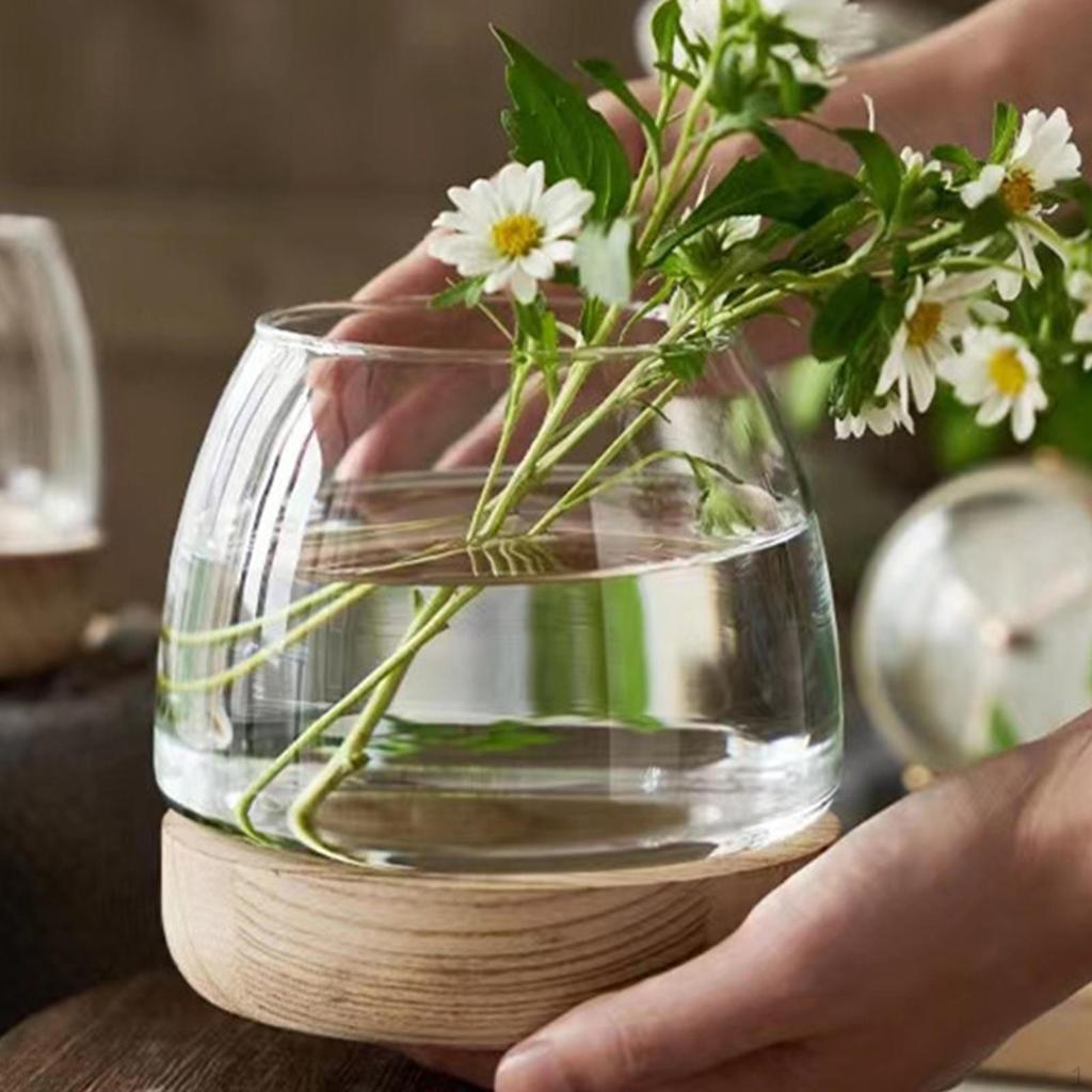 Klarer Glas-Pflanztopf mit Holzsockel für die Präsentation von Zimmerpflanzen