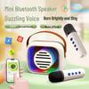 All-in-One Wireless Outdoor Bluetooth Speaker with Built-In Microphone for Smart Home Live Streaming