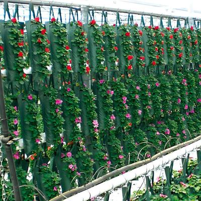 Hanging Strawberry Planting Bag Vertical Garden PE Flower Grow Bag Flower Vegetable Planter Indoor Outdoor Decor