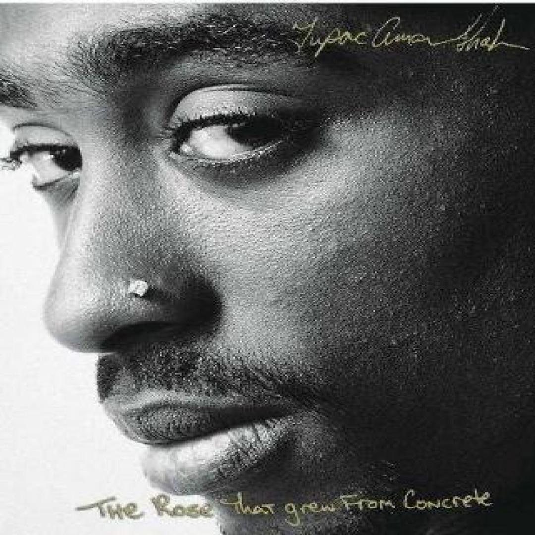 Die Rose, die aus Beton wuchs von Tupac Shakur Taschenbuch 9781416511656